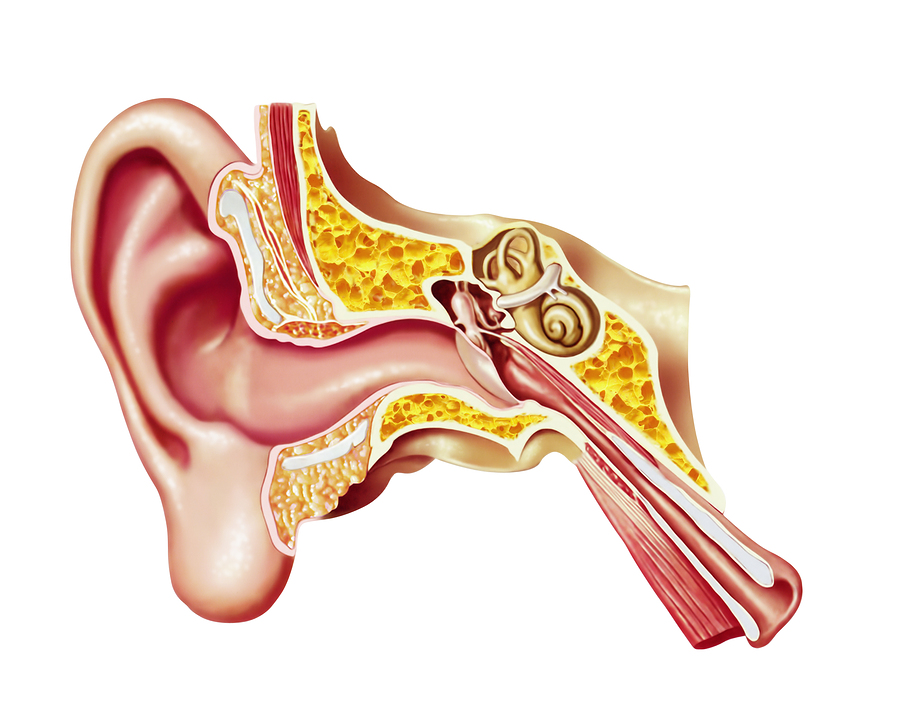 Tinnitus - All You Need To Know About The Ringing In Your Ears